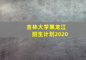 吉林大学黑龙江招生计划2020