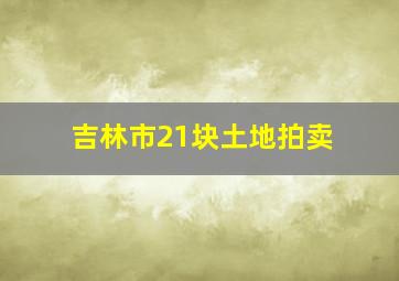 吉林市21块土地拍卖