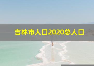 吉林市人口2020总人口