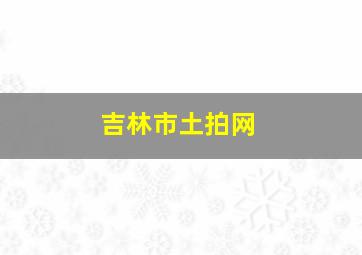 吉林市土拍网