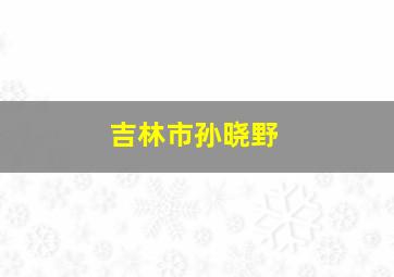 吉林市孙晓野