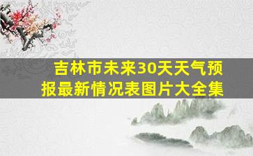 吉林市未来30天天气预报最新情况表图片大全集