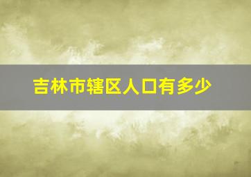 吉林市辖区人口有多少