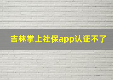 吉林掌上社保app认证不了