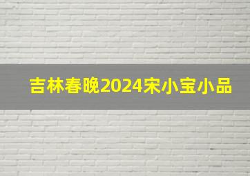 吉林春晚2024宋小宝小品