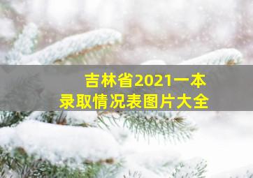 吉林省2021一本录取情况表图片大全