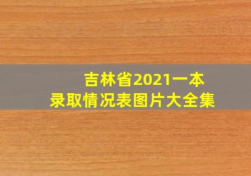 吉林省2021一本录取情况表图片大全集