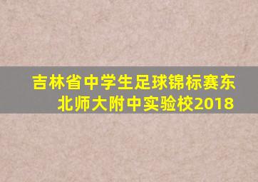 吉林省中学生足球锦标赛东北师大附中实验校2018