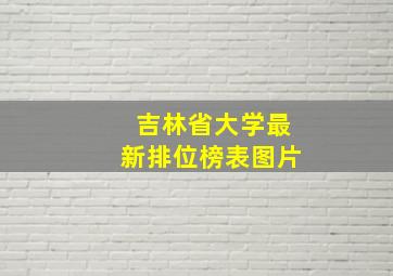 吉林省大学最新排位榜表图片