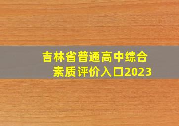 吉林省普通高中综合素质评价入口2023