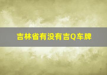 吉林省有没有吉Q车牌