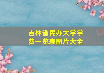 吉林省民办大学学费一览表图片大全