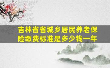 吉林省省城乡居民养老保险缴费标准是多少钱一年