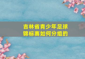 吉林省青少年足球锦标赛如何分组的