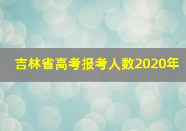 吉林省高考报考人数2020年