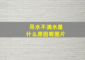 吊水不滴水是什么原因呢图片