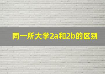 同一所大学2a和2b的区别