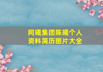 同曦集团陈曦个人资料简历图片大全