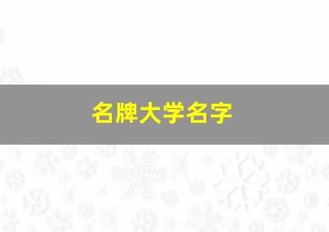 名牌大学名字