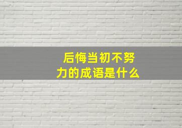 后悔当初不努力的成语是什么