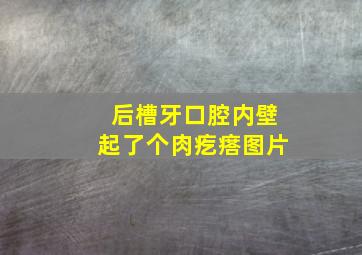 后槽牙口腔内壁起了个肉疙瘩图片