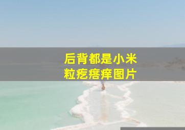 后背都是小米粒疙瘩痒图片