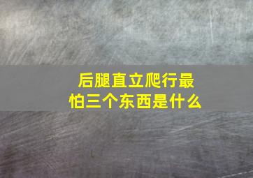 后腿直立爬行最怕三个东西是什么