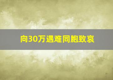 向30万遇难同胞致哀