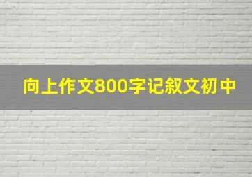 向上作文800字记叙文初中