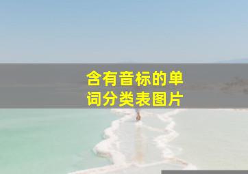 含有音标的单词分类表图片