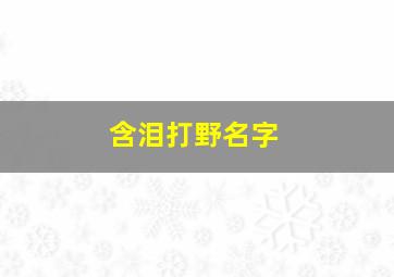 含泪打野名字