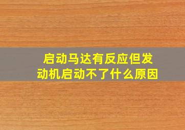 启动马达有反应但发动机启动不了什么原因