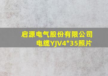 启源电气股份有限公司电缆YJV4*35照片