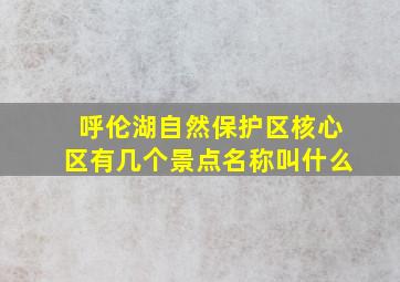 呼伦湖自然保护区核心区有几个景点名称叫什么