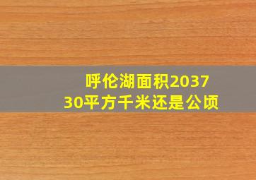 呼伦湖面积203730平方千米还是公顷