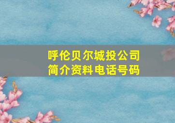 呼伦贝尔城投公司简介资料电话号码