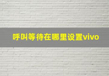 呼叫等待在哪里设置vivo