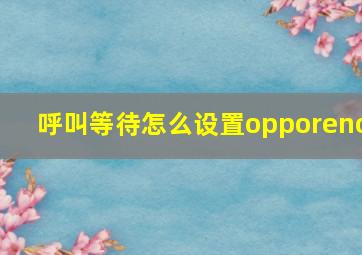 呼叫等待怎么设置opporeno