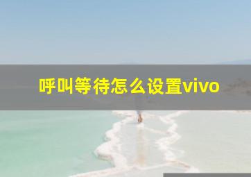 呼叫等待怎么设置vivo