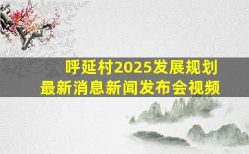 呼延村2025发展规划最新消息新闻发布会视频