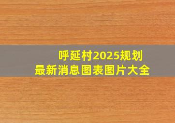 呼延村2025规划最新消息图表图片大全