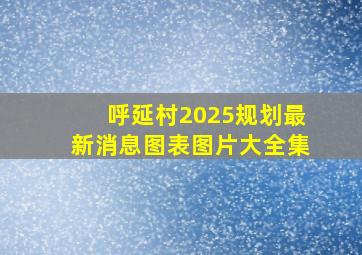 呼延村2025规划最新消息图表图片大全集