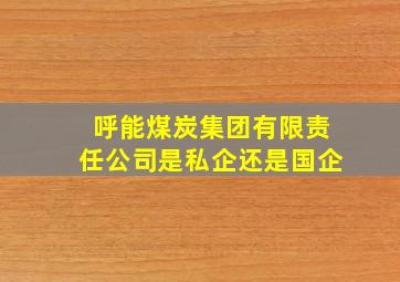 呼能煤炭集团有限责任公司是私企还是国企