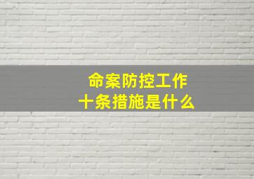 命案防控工作十条措施是什么