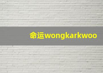 命运wongkarkwoo