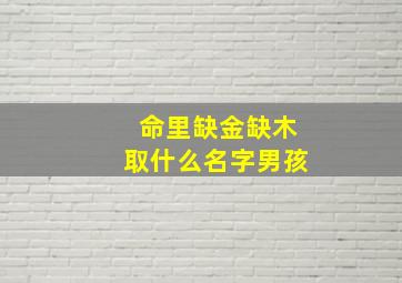 命里缺金缺木取什么名字男孩