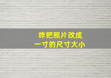 咋把照片改成一寸的尺寸大小