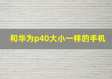 和华为p40大小一样的手机