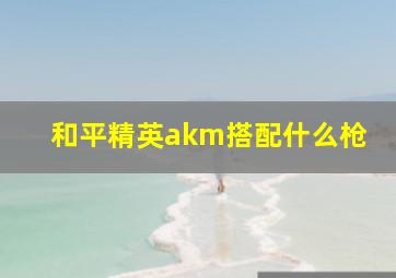 和平精英akm搭配什么枪