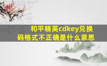 和平精英cdkey兑换码格式不正确是什么意思